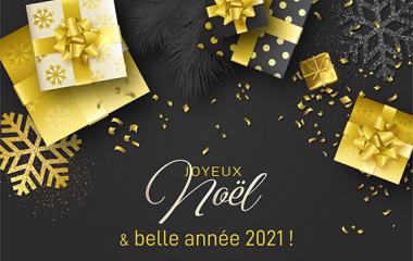 Joyeux noël et belle année 2021 !